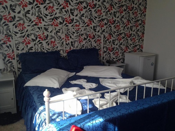 Hotel Green Palace image 40