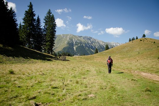 Tour image 8
