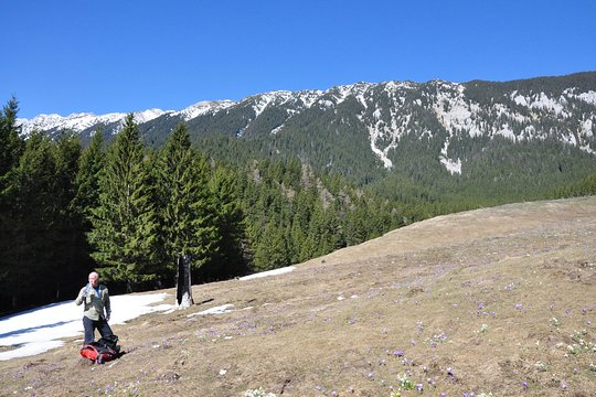 Tour image 4