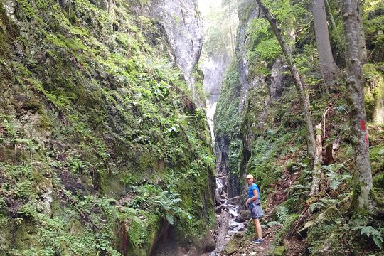 Tour image 8