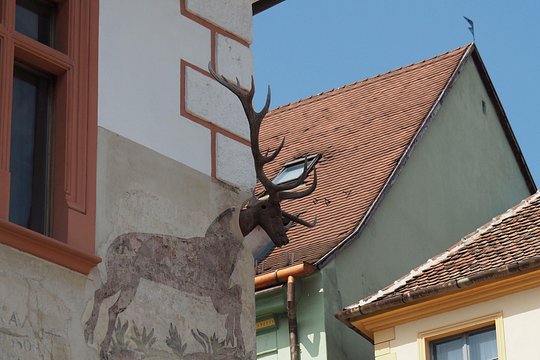 Tour image 3