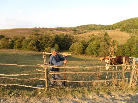 Tour image 2