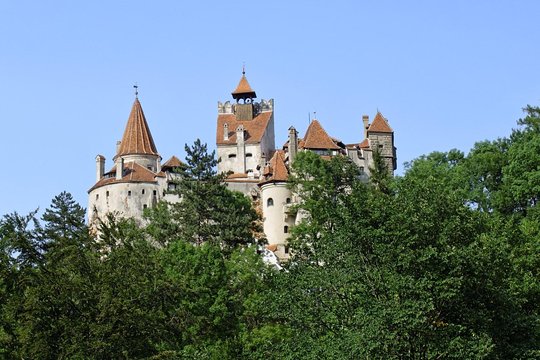 Tour image 5