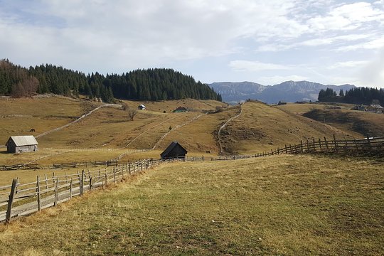 Tour image 4