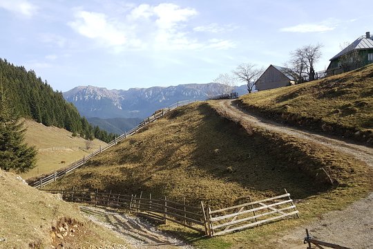 Tour image 7