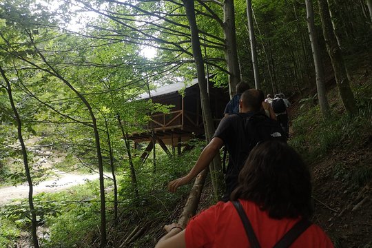 Tour image 1