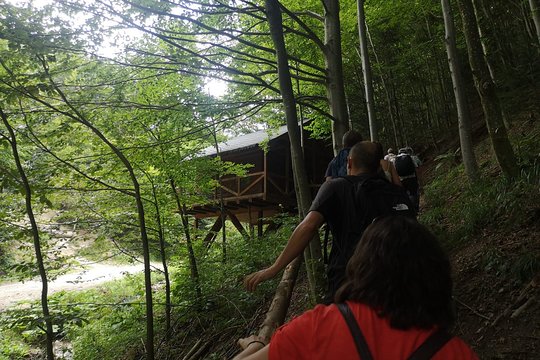 Tour image 1