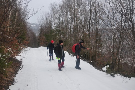 Tour image 6