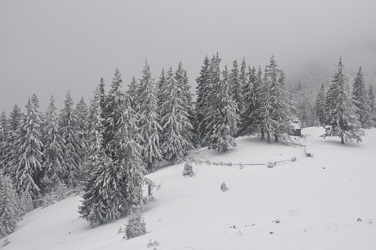 Tour image 8