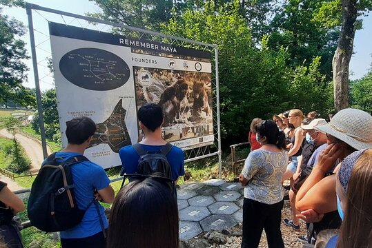 Tour image 6