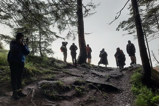 Tour image 3