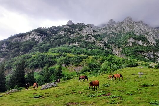 Tour image 9
