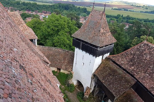 Tour image 8