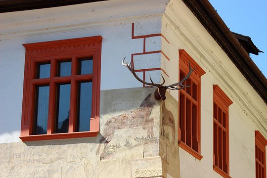 Tour image 8