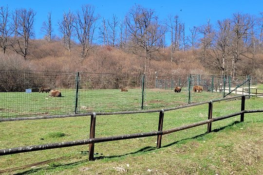 Tour image 6