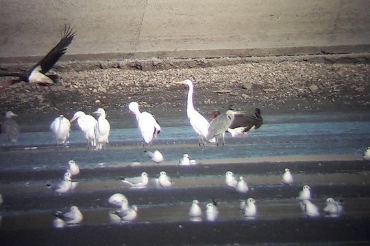 Tour image 1