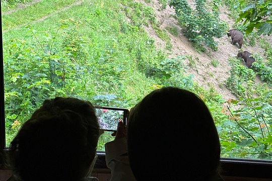 Tour image 8