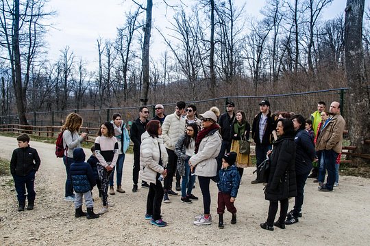 Tour image 5