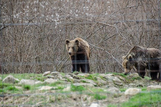 Tour image 6