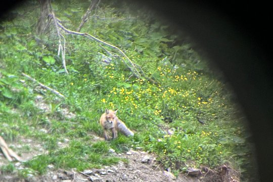 Tour image 6